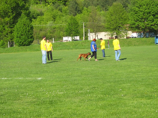 www.atibox.net * www.euroboxer.eu * www.boxergenealogia.eu